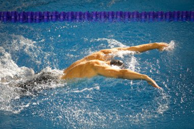 Details with a professional male athlete swimming in an olympic swimming pool butterfly style.