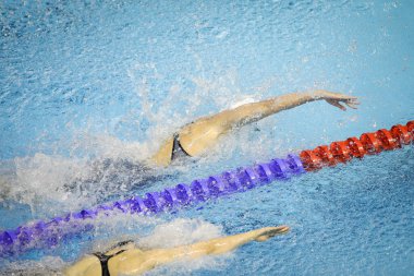 Details with a professional female athlete swimming in an olympic swimming pool.