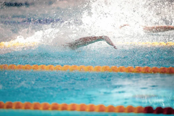 Details Professional Male Athlete Swimming Olympic Swimming Pool Freestyle — Stockfoto