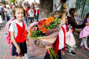 Shallow depth of field (selective focus) details with a schoolgirl holding flowers for her teacher during the first day of school.