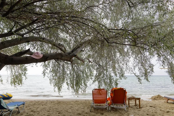 Drzewo Leżaki Przytulnej Plaży Thassos Grecja Pochmurny Letni Dzień — Zdjęcie stockowe