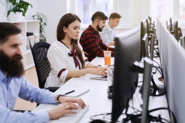 Modern bilişim ofisinde çalışan insanlar. Bir grup genç programcı ve yazılım geliştirici bilgisayar üzerinde çalışan masalarda oturuyorlar. Ekip iş başında.