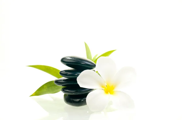 Black zen stone with white flower — Stock Photo, Image