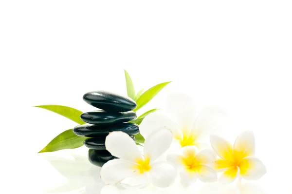 Schwarzer Zen-Stein mit weißen Blüten lizenzfreie Stockfotos