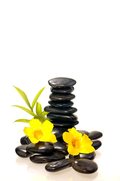 Pile de pierres zen noires avec une plante de bambou et des fleurs jaunes — Photo