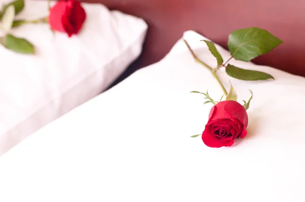 Red roses on pillows — Stock Photo, Image