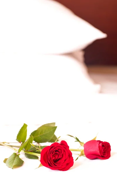 Escapada romántica con rosas y almohadas de fondo —  Fotos de Stock
