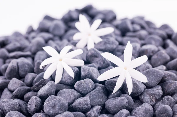 Drie jasmijn bloemen op zen stenen — Stockfoto