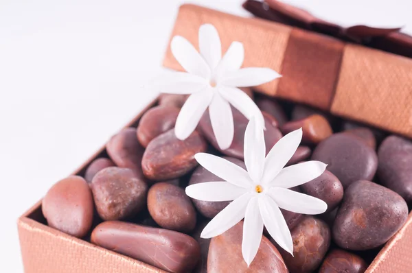 Wellness-cadeau in een bronzen vak met rode zen stenen en jasmijn bloemen close-up — Stockfoto