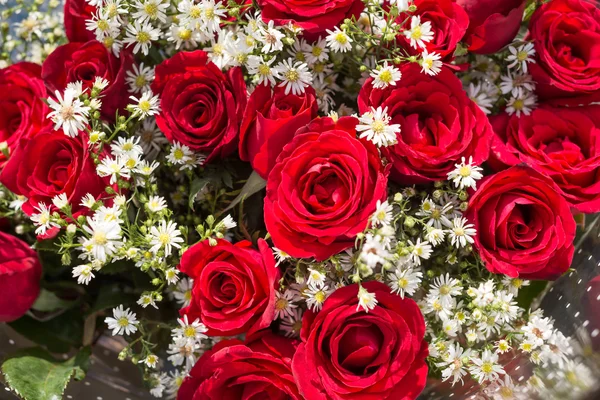 Kytice červených růží s květy, baby dech zblízka — Stock fotografie