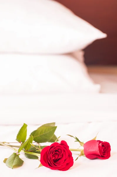 Romantic getaway with red roses and pillows background — Stock Photo, Image