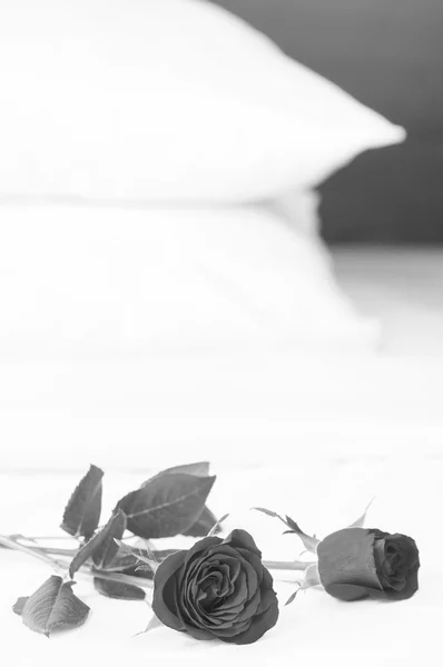 Красные розы на кровати в черно-белом — стоковое фото