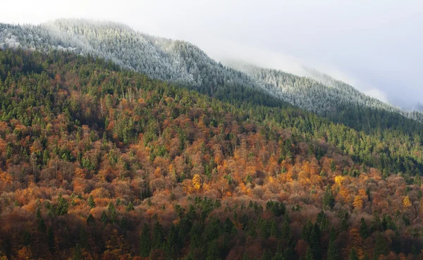 Beyaz Don toptrees Dağları üzerinde
