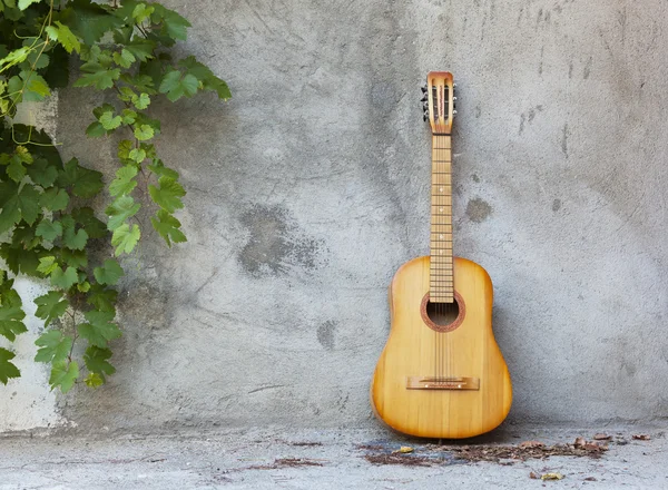 Old classic guitar standing against grungy wall Stock Image