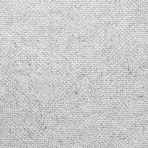 Old white paper texture background fiber parchment with delicate pattern — Stock Photo, Image