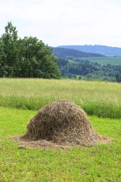 Haystack on the grass field and rural landscape — Stock Photo, Image