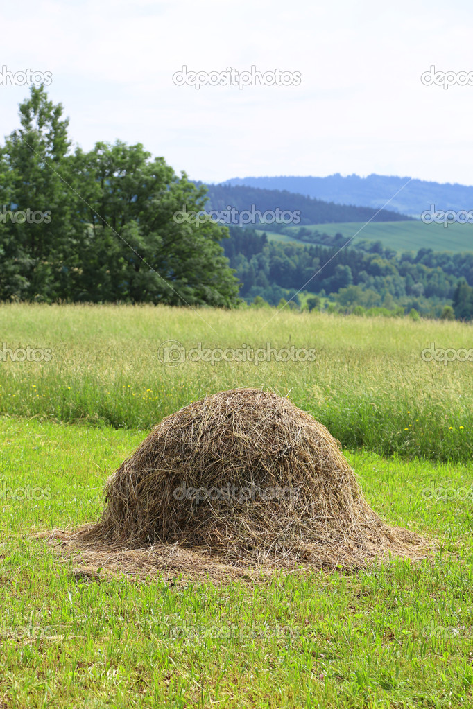 Haystack on the grass field and rural landscape