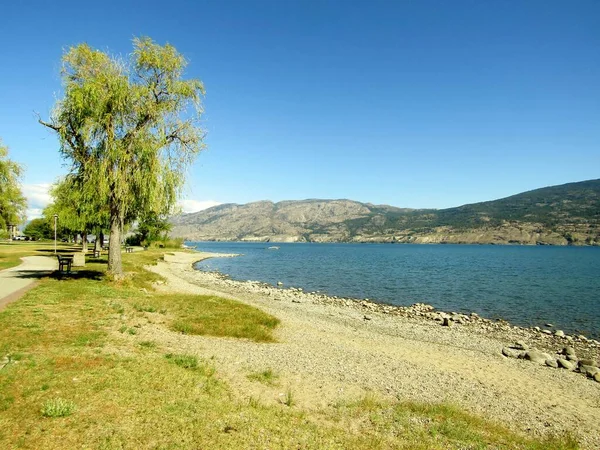 Pasarela Pavimentada Frente Mar Parque Playa Peach Orchard Lago Okanagan — Foto de Stock