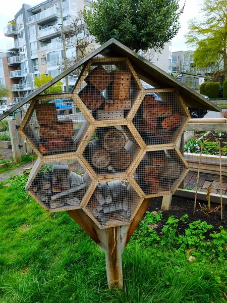Insect hotel in Vancouver downtown, BC, Canada