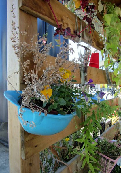 Flower pots made from hard hats in hanging garden.
