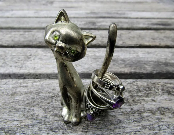 Pemegang Cincin Kucing Dengan Cincin Perak Ekornya Stok Lukisan  