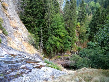 Rodop dağ, Bulgaristan göster