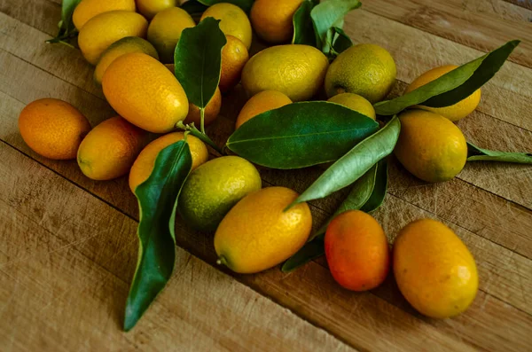 Small Tropical Citrus Kumquat Oranges Dark Green Elongated Shiny Leaves — Stock Photo, Image