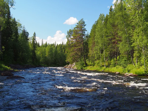 Landscape with the rough river — Stock Photo, Image