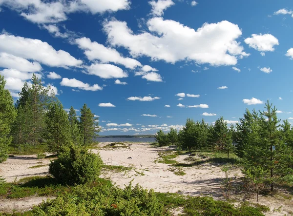 Beach by the White sea — Stock Photo, Image