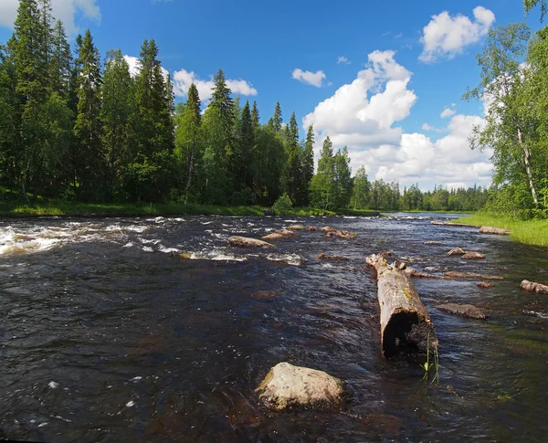 Paesaggio con il fiume grezzo — Foto Stock