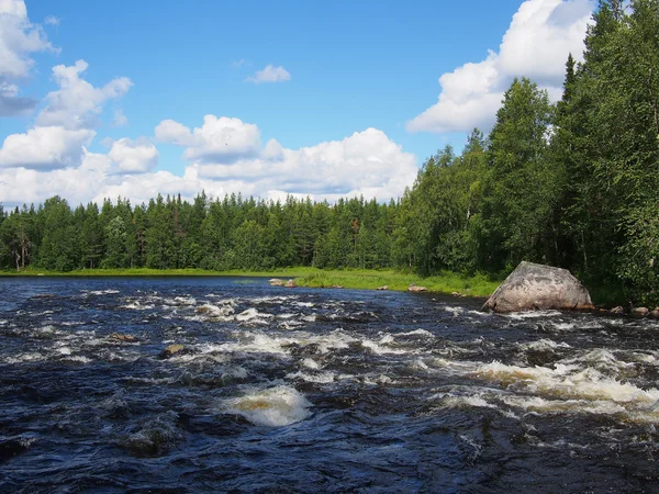 Paysage avec la rivière rugueuse — Photo