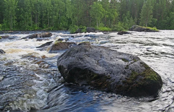 Landscape with the rough river — Stock Photo, Image