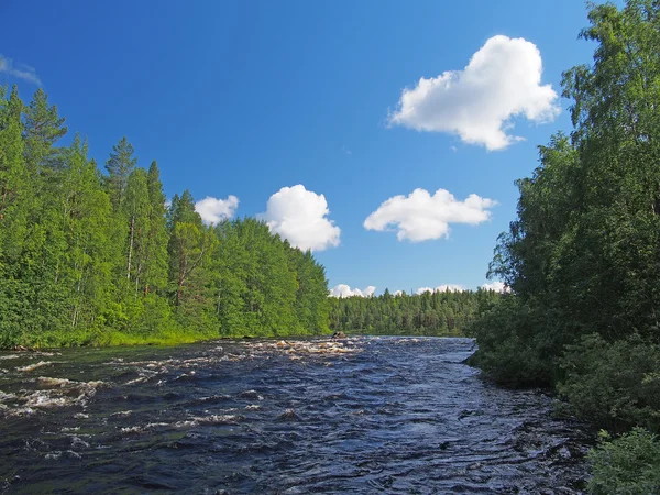 Landscape with the rough river — Stock Photo, Image