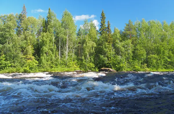 Landscape with the rough river — Stock Photo, Image