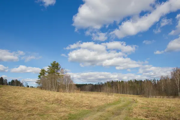 Zomer landschap. — Stockfoto