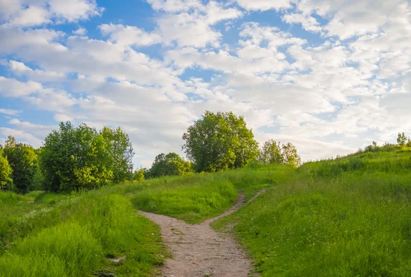 Sommerlandschaft. — Stockfoto