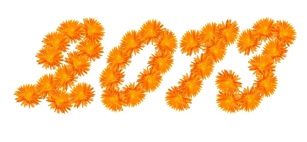 Number 2013 made of flowers of a calendula. — Stock Photo, Image