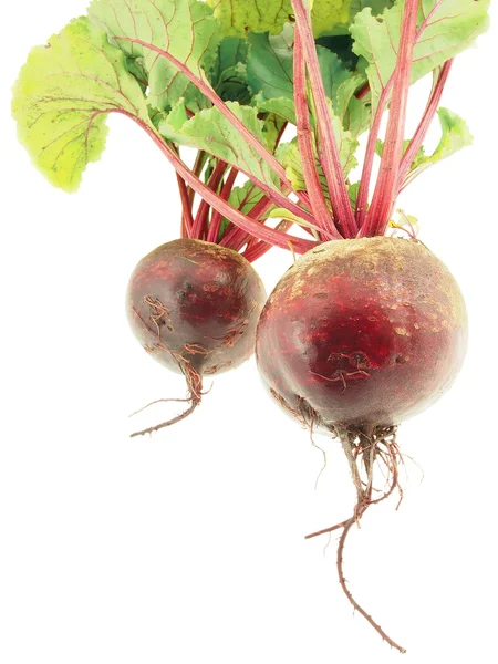 Fresh beetroot. — Stock Photo, Image