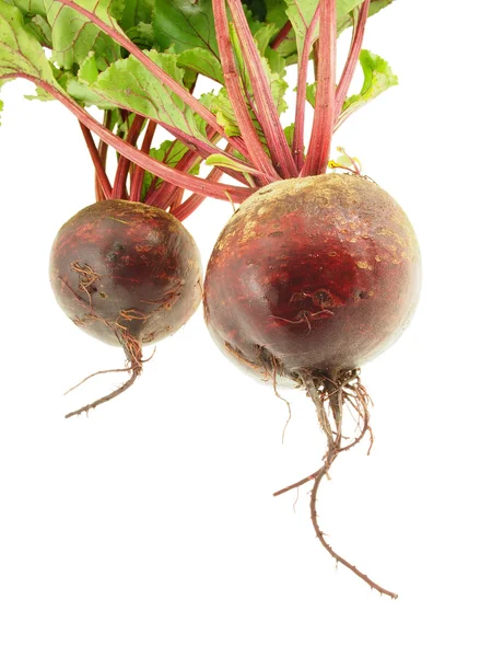 Fresh beetroot. — Stock Photo, Image