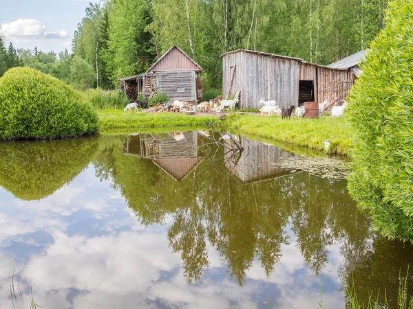 Hermoso paisaje rural — Foto de Stock