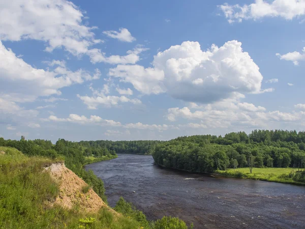 Krajobraz z rzeką szorstki — Zdjęcie stockowe