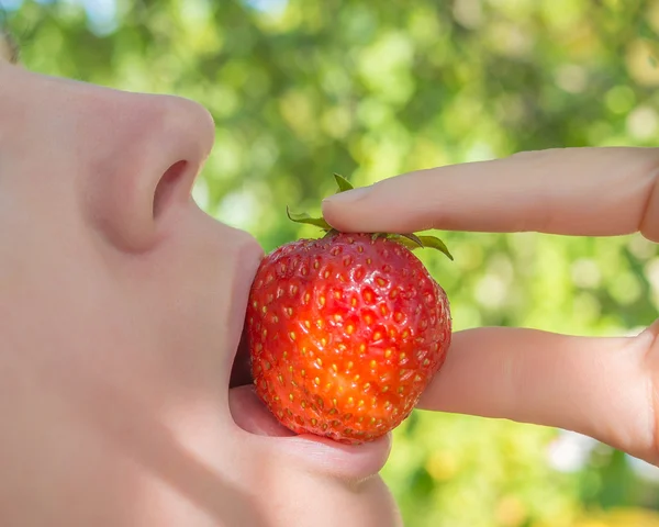 The young woman eats strawberry outdoors. Close up. — Stock Photo, Image