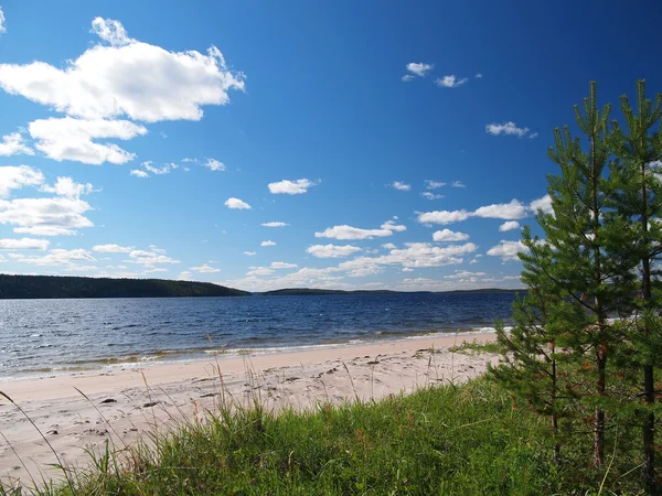 Vackra sommaren på havet — Stockfoto