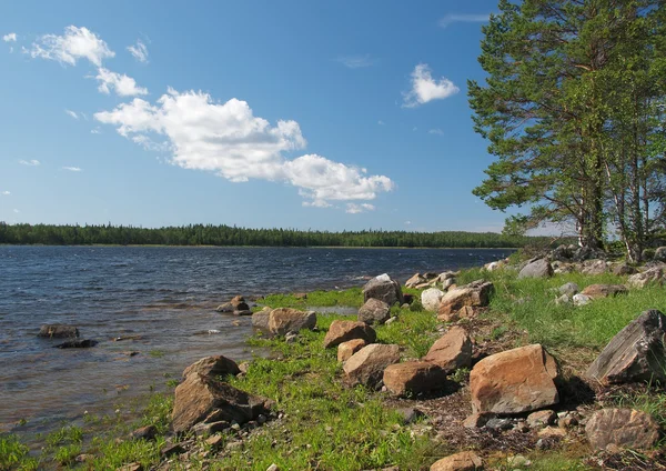 Vackra sommaren på havet — Stockfoto