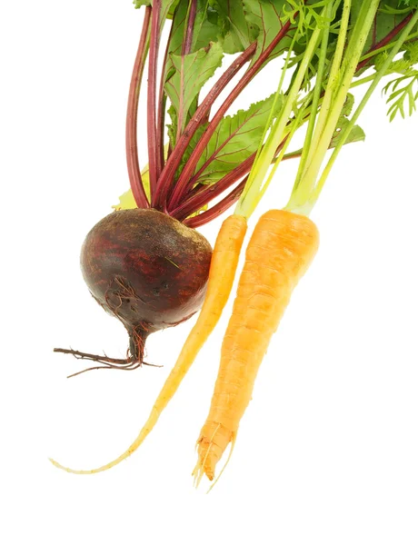 Fresh carrots with tops of vegetable. — Stock Photo, Image