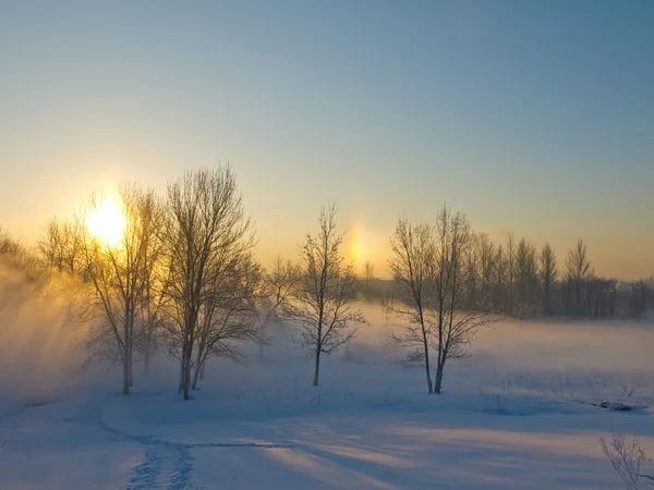Bella mattina d'inverno — Foto Stock