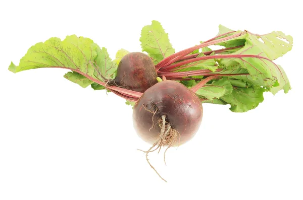 Fresh vegetable isolated on a white background. — Stock Photo, Image