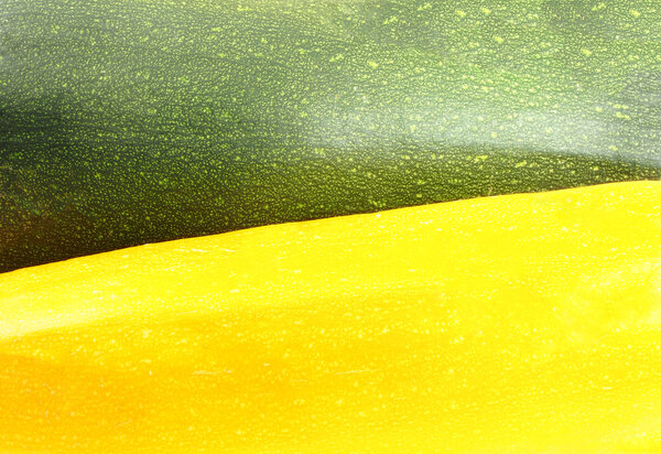 Green and yellow vegetable marrows skin background.