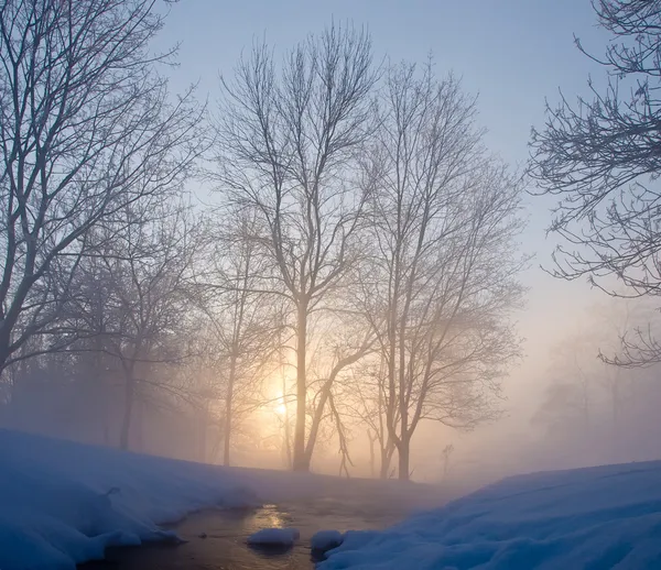 美丽的冬天的早晨 — 图库照片