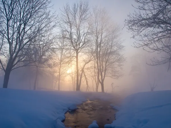 Belle matinée d'hiver — Photo